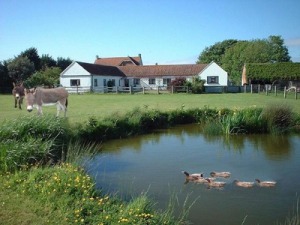 Main field showing the cottage