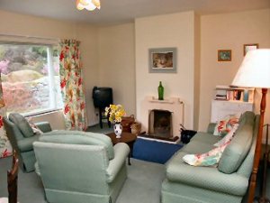 Log fire in sitting room