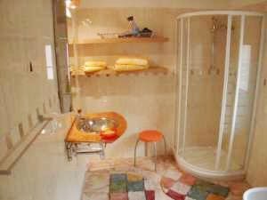 shower bathroom 1 from 2