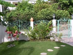 Our Beautiful Landscaping