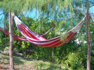 Great place to relax outside