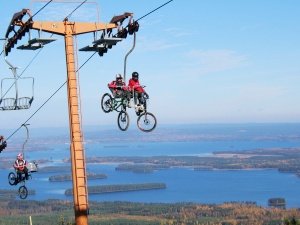 Mountainbike summertime