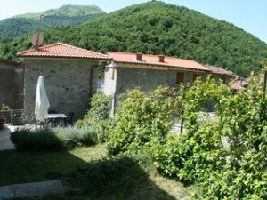 The garden (detail 1)