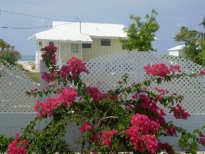 2 bdrm oceanfront guest house