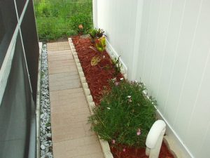 Flowers viewed from pool