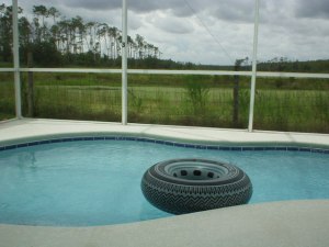 Pool view of conservation 