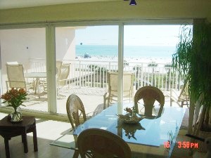 View from dining room