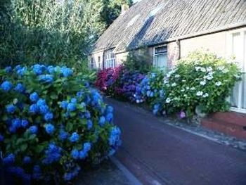 Diever self catering Dutch farmhouse