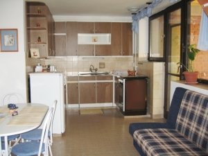 Dining area and kitchen