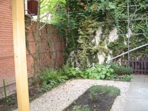 Small fenced garden