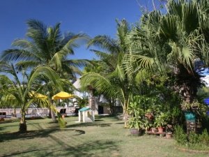 Large gardens