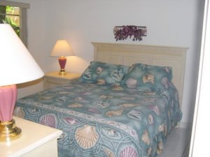 Master bedroom with queen bed