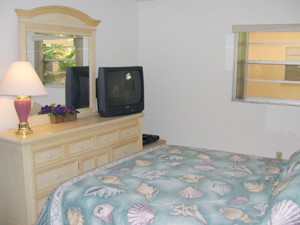 New furniture&pillow-top bed