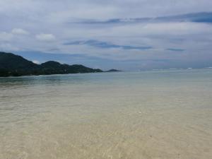 Ocean view from beach graden