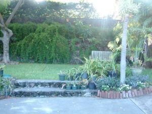 View from dining table