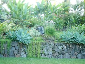 Lush tropical gardens