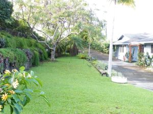 View of house and grounds