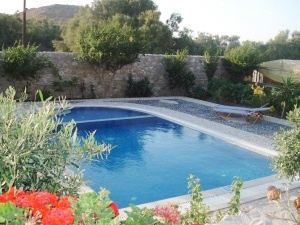 Swimming pool and garden