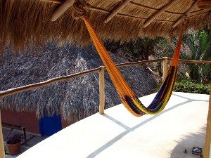 Relax in a hammock