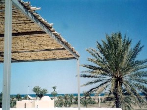 View from the the roof terrace