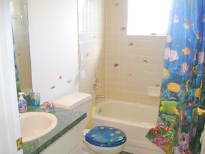 One of the 2 bathrooms