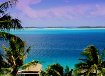 VIEW FROM LIVING ROOM