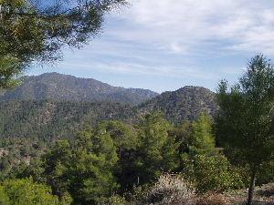 Troodos Mountains 2