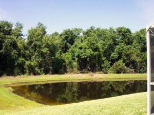 View from rear of villa