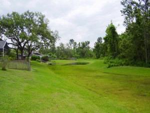 Pretty area at the rear