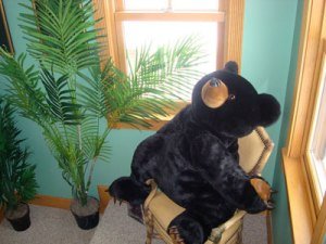 Giant Teddy Bear for children