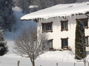 Ski Amadé holiday apartments