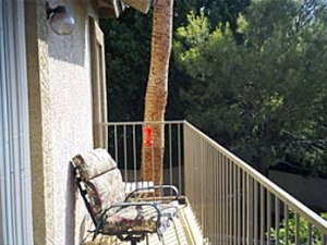 Balcony with sunchair