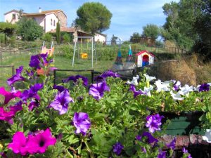 The beautiful gardens