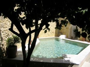 In the shade of the lemon tree