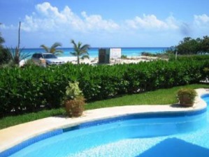 View from the garden