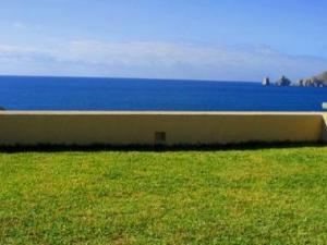 Grass covered roof top