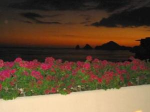 Views from balconies