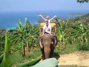 Or an Elephant Ride!