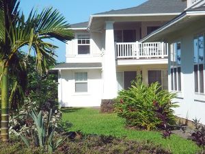 Tropical trees in the garden