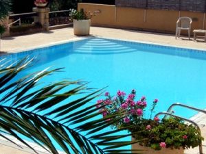 Pool is surronded by plants