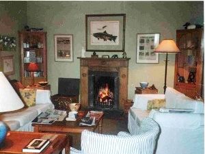 Lounge area with open fire