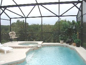 Pool view of orange trees