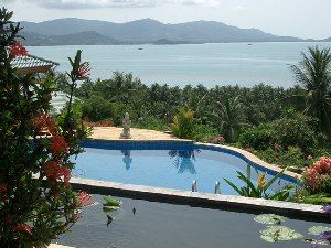 View of pool from pond