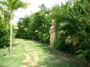 Tropical gardens