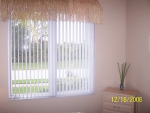 View to Reserve from bedroom