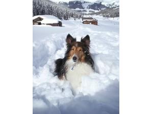 One thing we don't have.