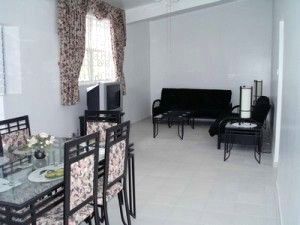 Apt. 2 living-dining room 