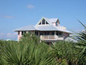 Coral Reef is among the trees