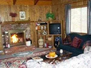 Family room has a fireplace