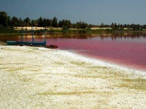 The Pink Lake